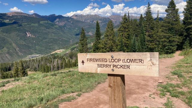 Berry Picker Trail Sign