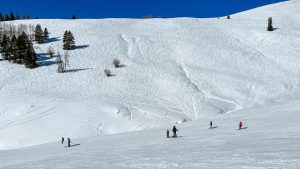 How to Get to Vail Back Bowls