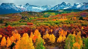 What to Do in Vail in October