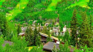 What to Do in Vail in Summer
